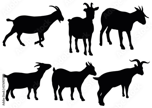 Domestic horned and mountain goats in the set.