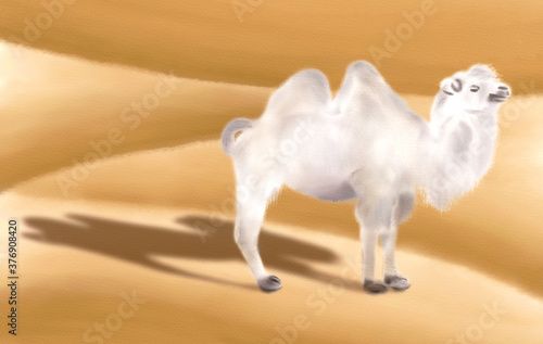 Watercolor Illustration of a white camel standing alone in the desert 