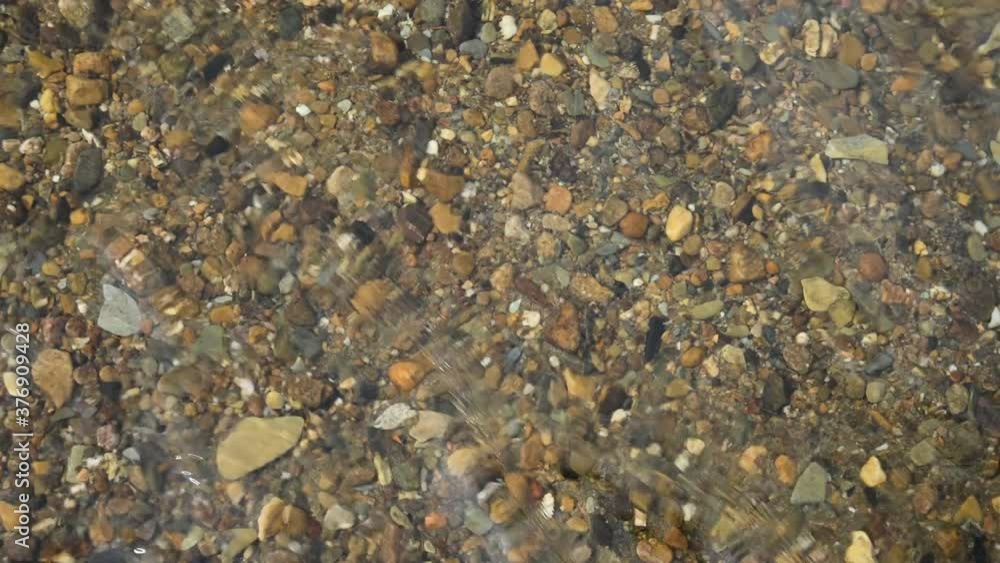 A view into a fast flowing crystal clear mountain stream with small colorful rocks under the water. Some of the smaller rocks are moving in the current.
A view into a fast flowing crystal clear mountain stream with small colorful rocks under the water. Some of the smaller rocks are moving in the current.