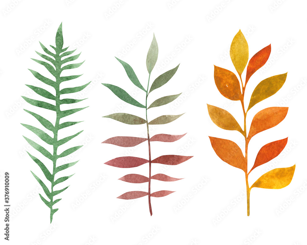 Watercolor set of beautiful colourful autumn leaves isolated on white background. Beautiful bright autumn leaf.