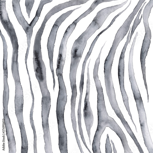 Animal print painted in watercolor on a white background. Fashionable and modern zebra print. Beautiful baby zebra watercolor illustration.