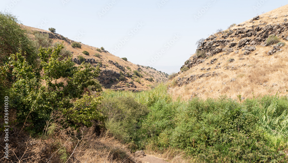 Hills  overgrown with dry grass and small trees in the Golan Heights in northern Israel