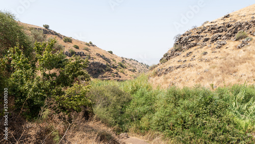 Hills overgrown with dry grass and small trees in the Golan Heights in northern Israel