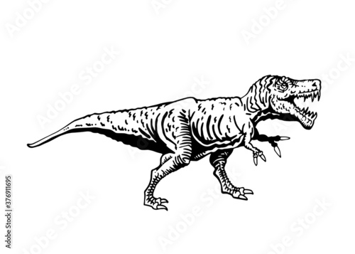 Vector tyrannosaurus isolated, graphical illustration of dinosaur © Vita