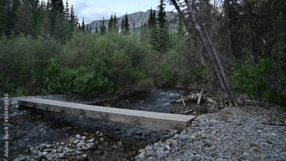 A small stream with dark grey water flows through a set of rapids and under a sturdy hiking bridge.  The stream is set in a dark green forest with mountains in the background.

