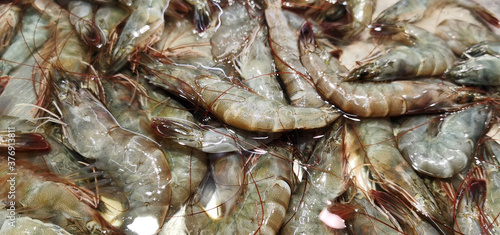 Frozen shrimp in the supermarket are great protein foods