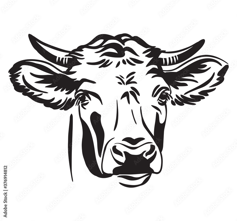 Abstract contour portrait of the bull vector Abstract contour portrait of the bull vector
