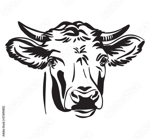 Abstract contour portrait of the bull vector