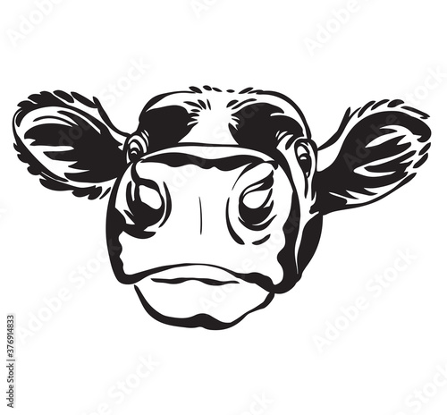 Abstract contour portrait of calf vector image
