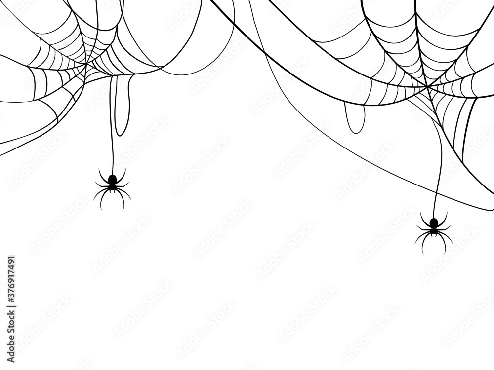 Black spider and spider web. Scary spiderweb of halloween symbol. Isolated on white background. vector illustration - obrazy, fototapety, plakaty 