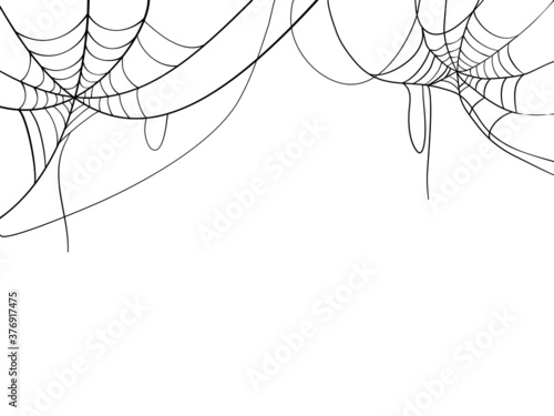 Fotografie, Obraz Black spider web