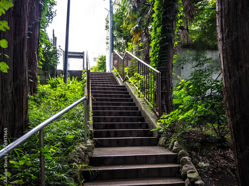 Obraz premium 散歩の途中で撮影した趣のある階段たち