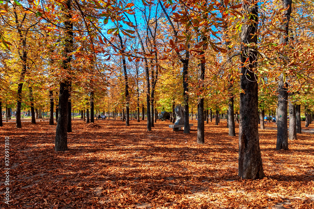 Naklejka premium Autumnal view of Tuileries Garden in Paris, France.