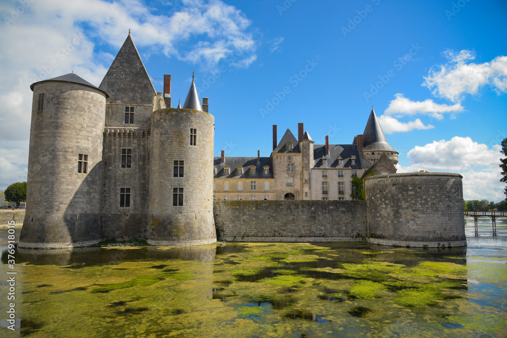 sully sur loire's castle