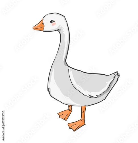 Hand drawn cute goose isolated on white background vector illustration