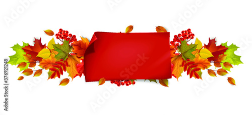 Greetings and gifts for the autumn and autumn season concept. Autumn background  poster and banner template with colorful autumn leaves.