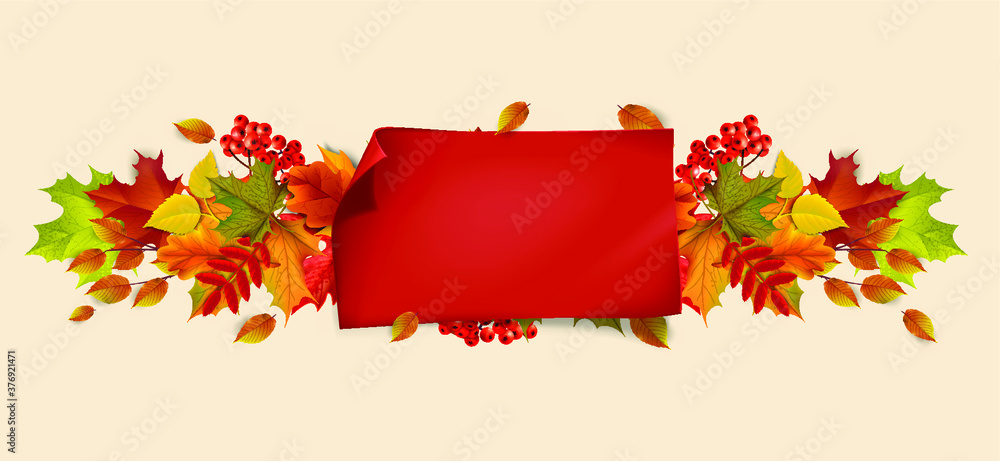 Greetings and gifts for the autumn and autumn season concept. Autumn background, poster and banner template with colorful autumn leaves.
