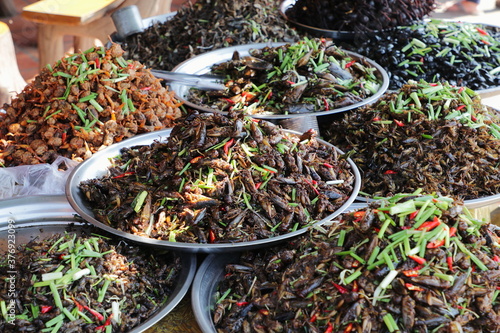 Plates of cooked insects sold in a Cambogian street market
