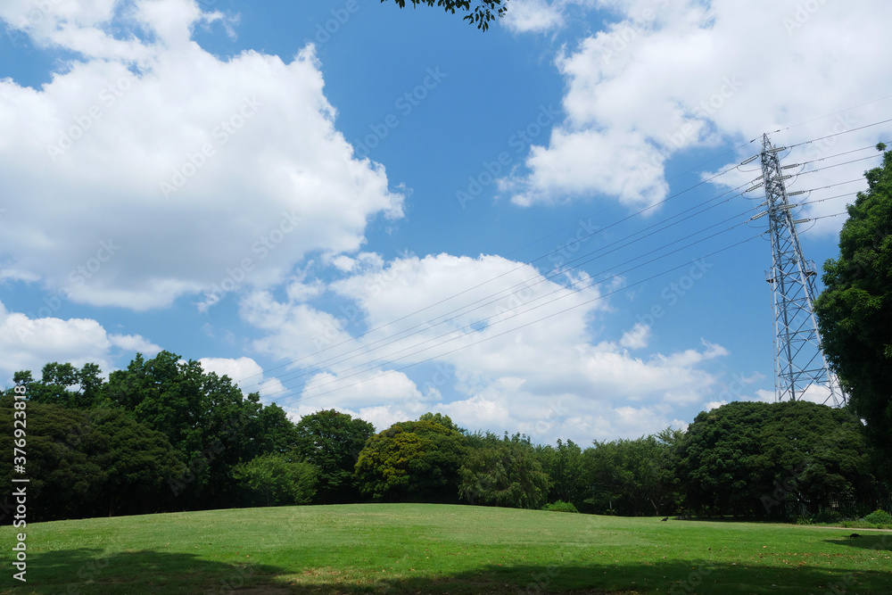 日本、真夏の公園