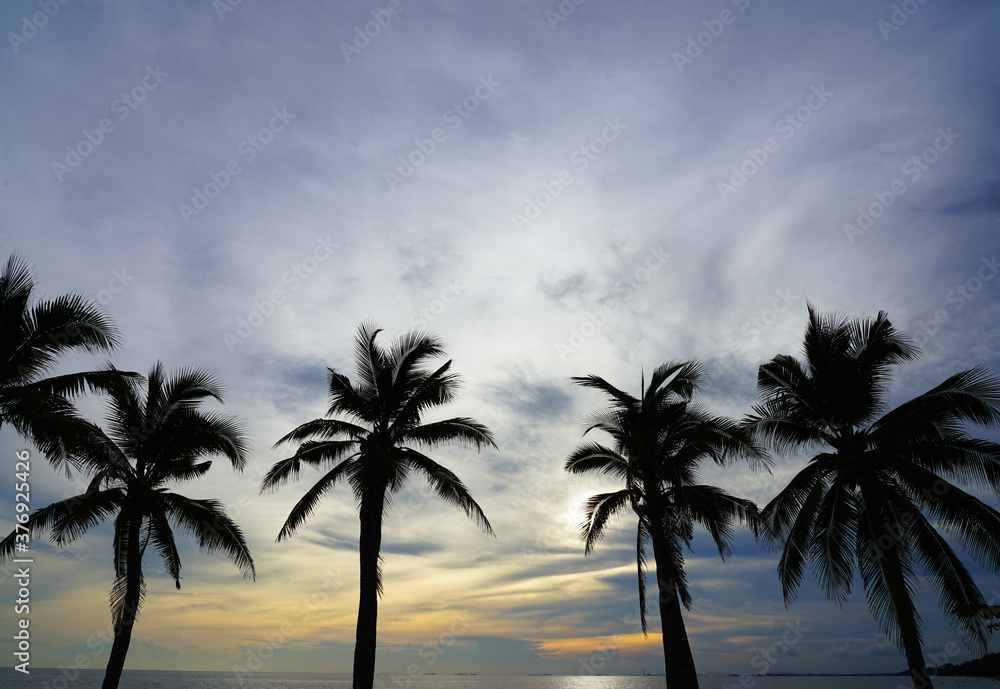 Silhouette coconut plam tree on the beach in summer sunset at Thailand beach
