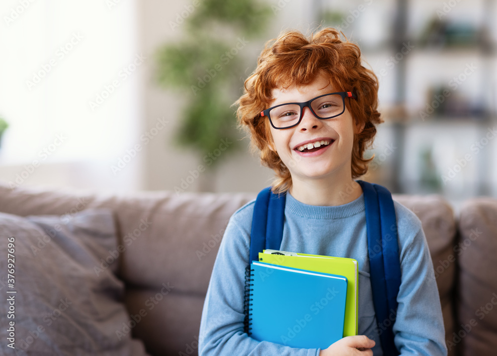 Fotografie Excited schoolboy with textbooks smiling.