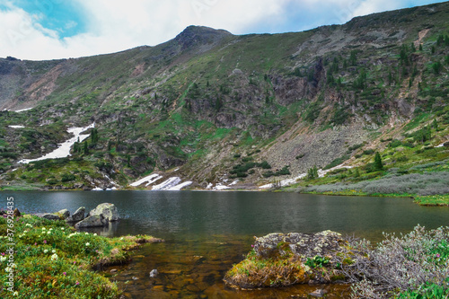 glade of multi-colored mountain flowers yellow pink on the shore of a clean mountain lake in siberia, peak, reflection, snow