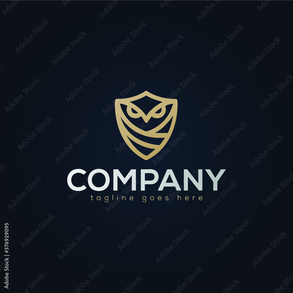 Owl Wise Logo Concept Design Owl Wise Logo Concept Design