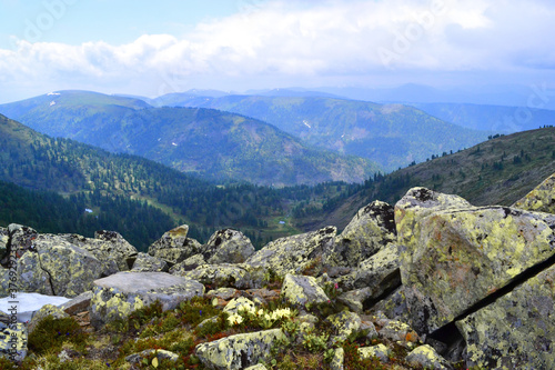 yellow flowers among big stones with moss in the summer blue Siberian mountains overgrown with green trees with shadows of clouds