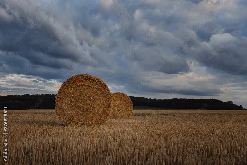 hay bales in the field