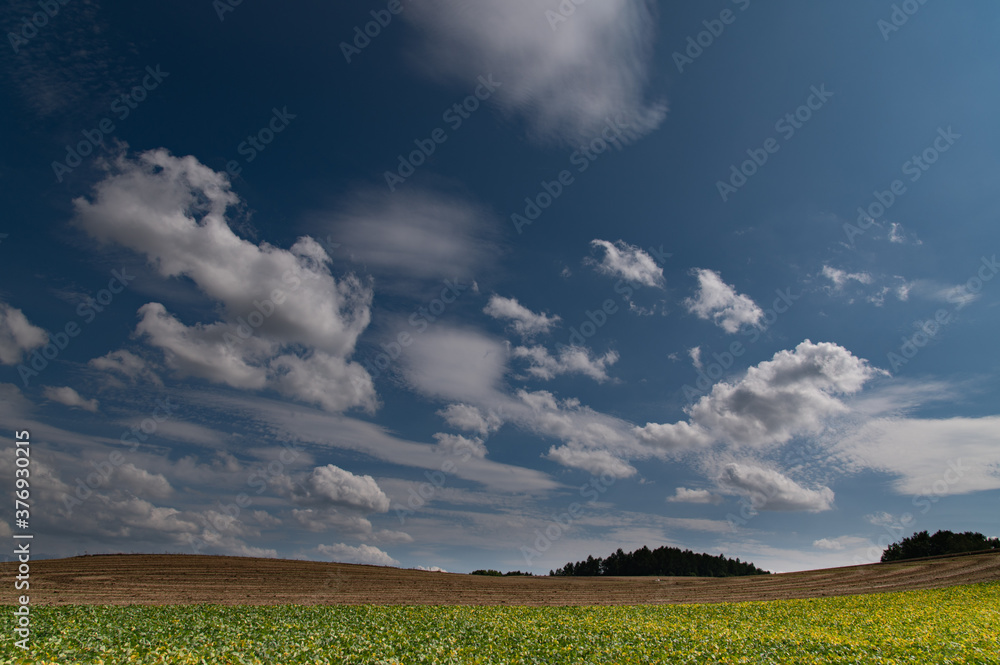 9月美瑛の素敵な空と大地