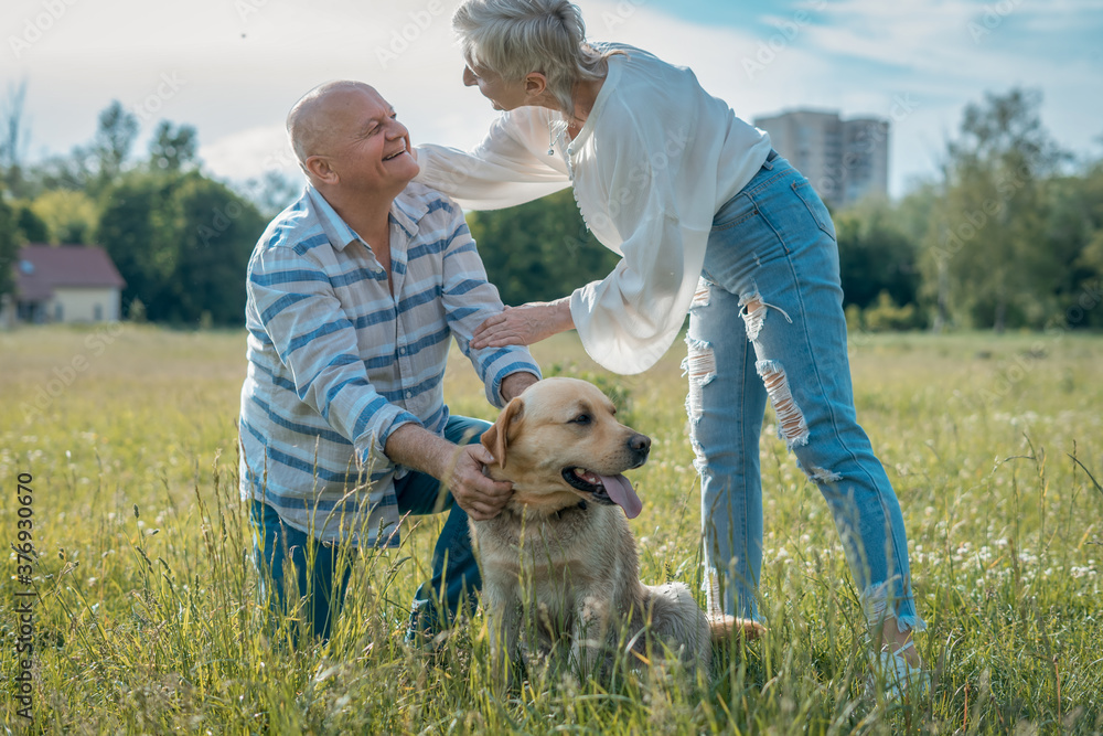 happy senior couple play with labrador retriever dog in sunny summer park happy senior couple play with labrador retriever dog in sunny summer park