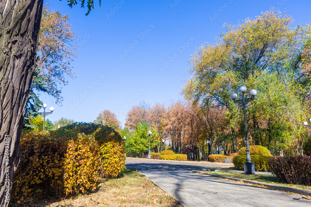 Autumn urban landscape on a Sunny day - yellow autumn trees in the Park, colorful red and orange leaves, and bright sky with clouds