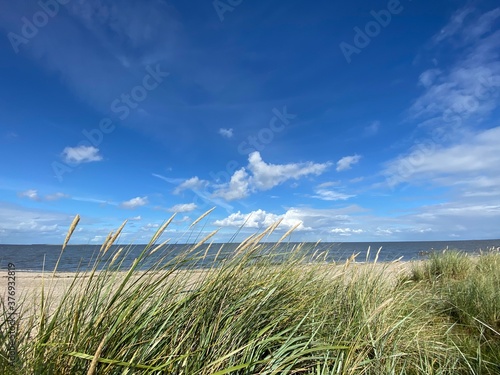 Nordsee Strand