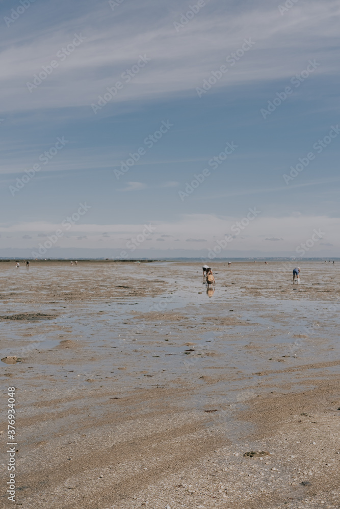 people on-foot fishing at low tide people on-foot fishing at low tide