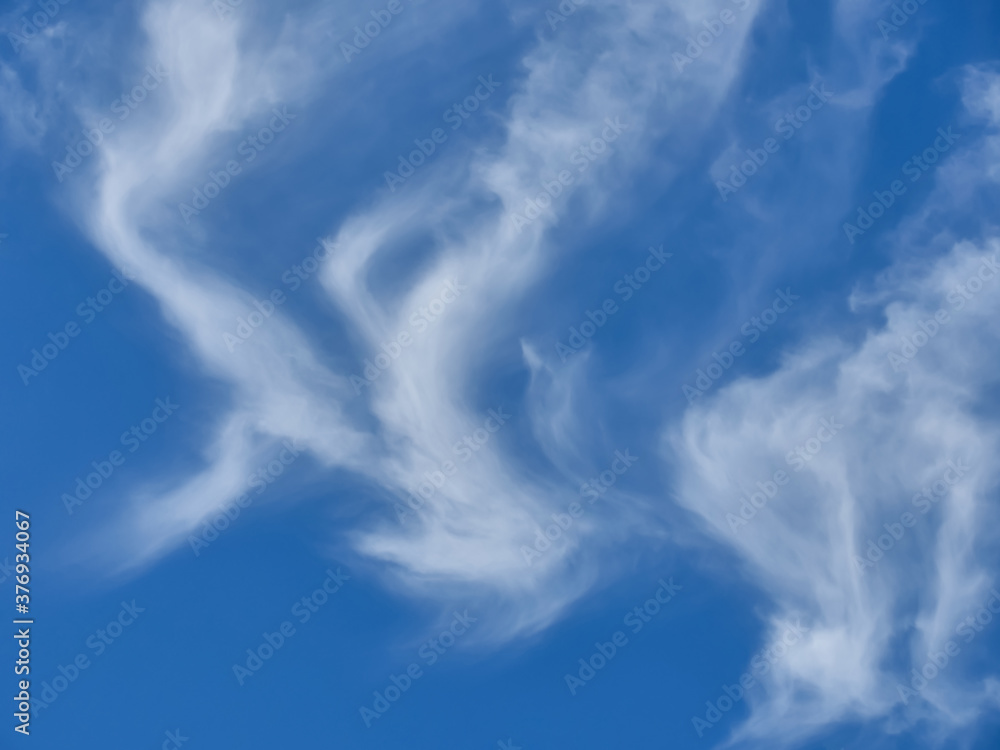 blue sky and white fluffy cloud fresh ozone in morning of sunny day or cloudscape blur background blue sky and white fluffy cloud fresh ozone in morning of sunny day or cloudscape blur background