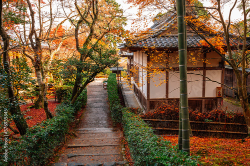 Autumn of Jojakko-ji temple in Arashiyama, Kyoto, Japan