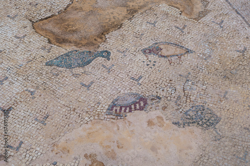 Medieval mosaics on floor of courtyard of fortress Kizkalesi. They are depicting birds  probably  doves or mews    turtles. Mosaics are bit damaged with many ages   weather. Picture taken in Kizkalesi