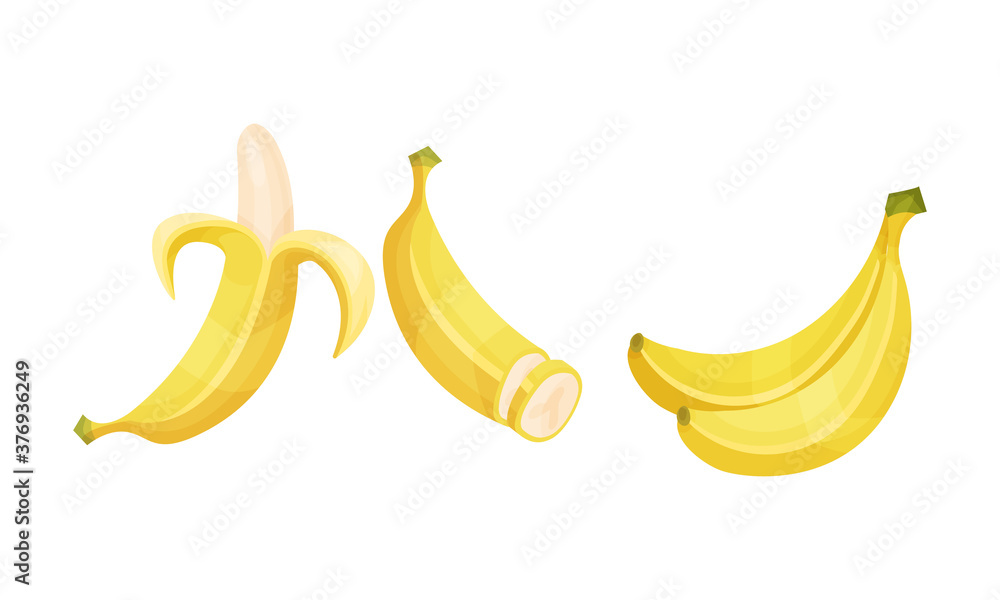 Yellow Banana as Exotic Fruit Isolated on White Background Vector Set