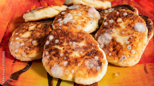 spoiled cheesecakes with mold close-up