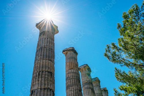 Priene was an ancient Greek city of Ionia located at the base of an escarpment of Mycale, 6 kilometres north of Maeander River, Güllübahçe, Söke, Turkey photo