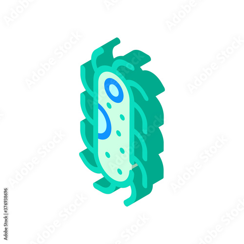 protozoa malaria isometric icon vector isolated illustration