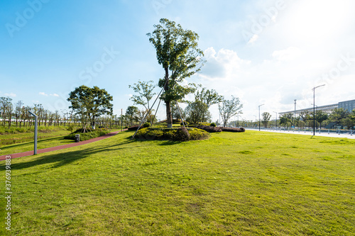 green lawn in city park