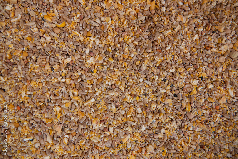 Chicken feed for good eggs in grand bazaar kemeralti izmir turkey Chicken feed for good eggs in grand bazaar kemeralti izmir turkey