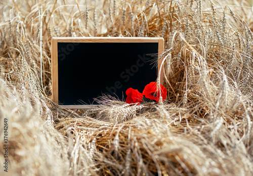 black empty chalkboard for writing stands in a field with ripe ears of Golden...