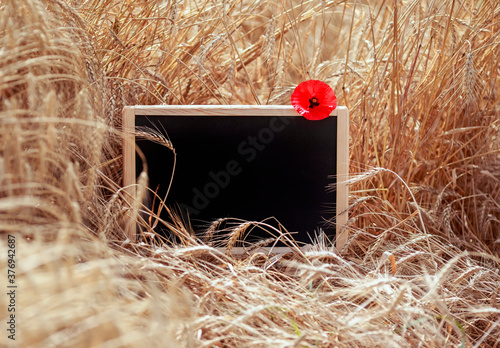 black empty chalkboard for writing stands in a field with ripe ears of Golden...