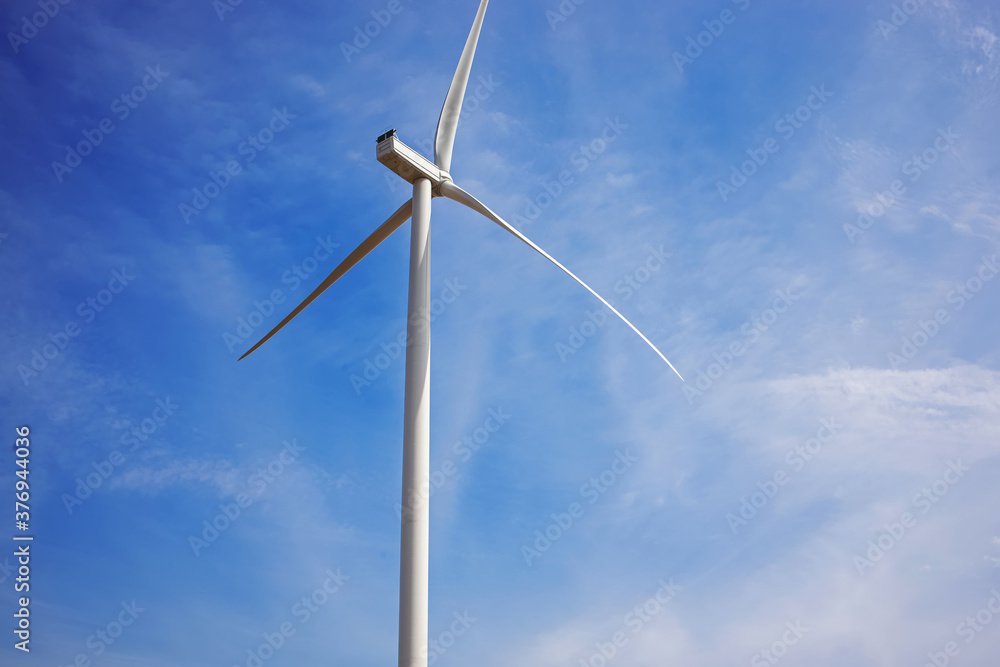 Wind turbines producing alternative energy Wind turbines producing alternative energy