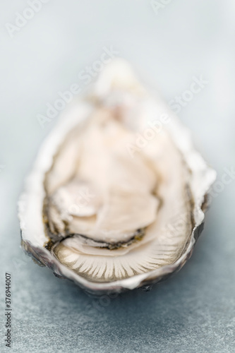 Close up of oyster