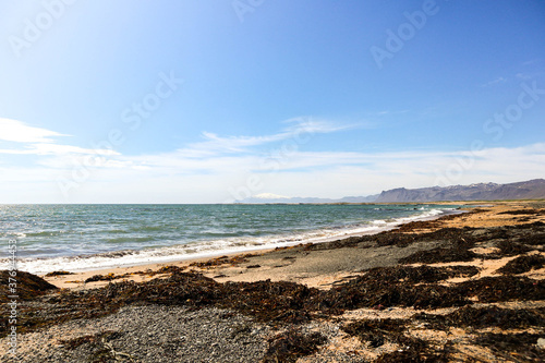 Icelandic beach, shot in Snæfellsnes. Saefell glacier in the distance. 