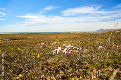 Icelandic landscape, shot in Snæfellsnes. 