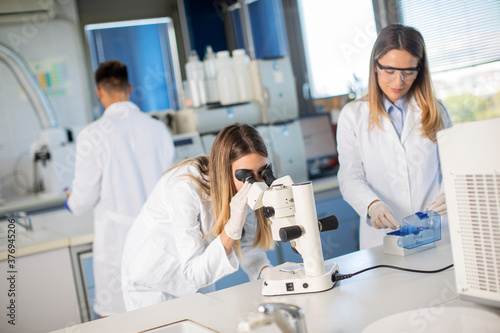 Group of young researchers analyzing chemical data in the laboratory